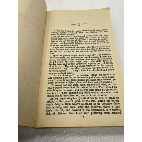 Searching Guns/Hangmen of San Sabel Ray Hogan Vintage Paperback Book 1st Print - Picture 8 of 10